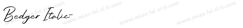 Bedger Italic字体转换